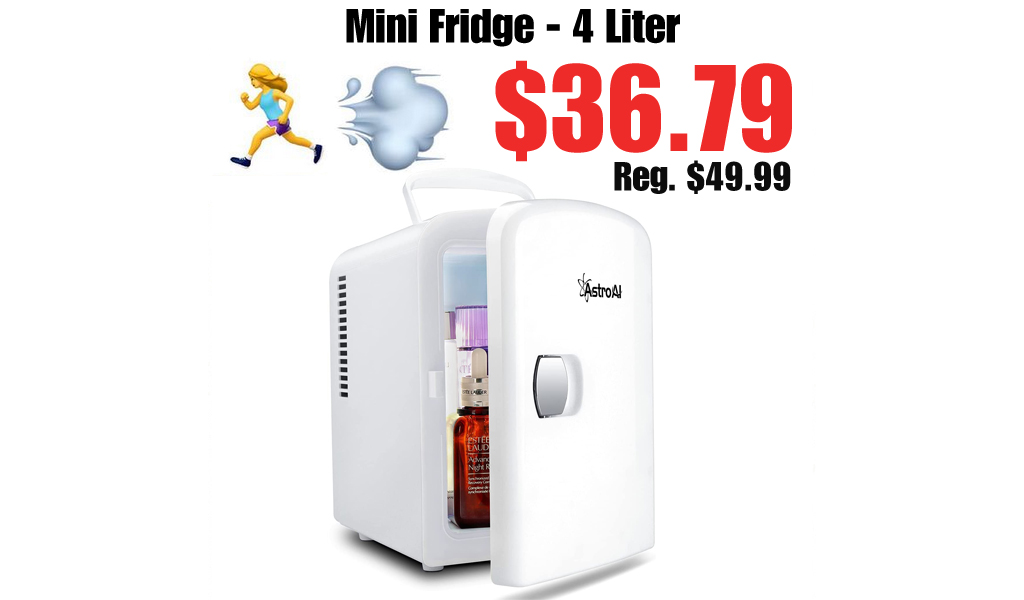 Mini Fridge - 4 Liter Only $36.79 Shipped on Amazon (Regularly $49.99)