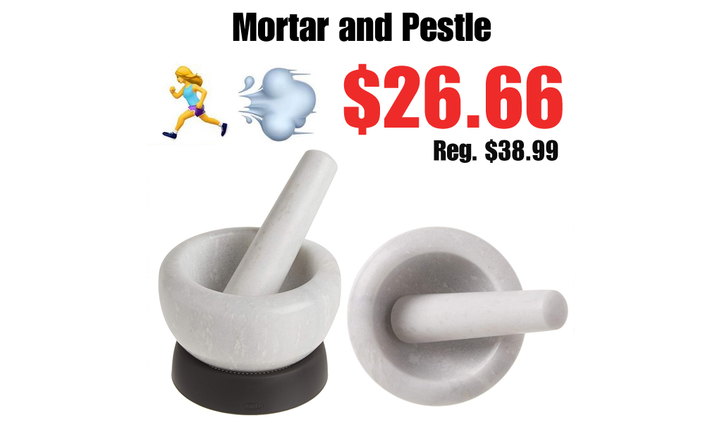 Mortar and Pestle Only $26.66 Shipped on Amazon (Regularly $38.99)