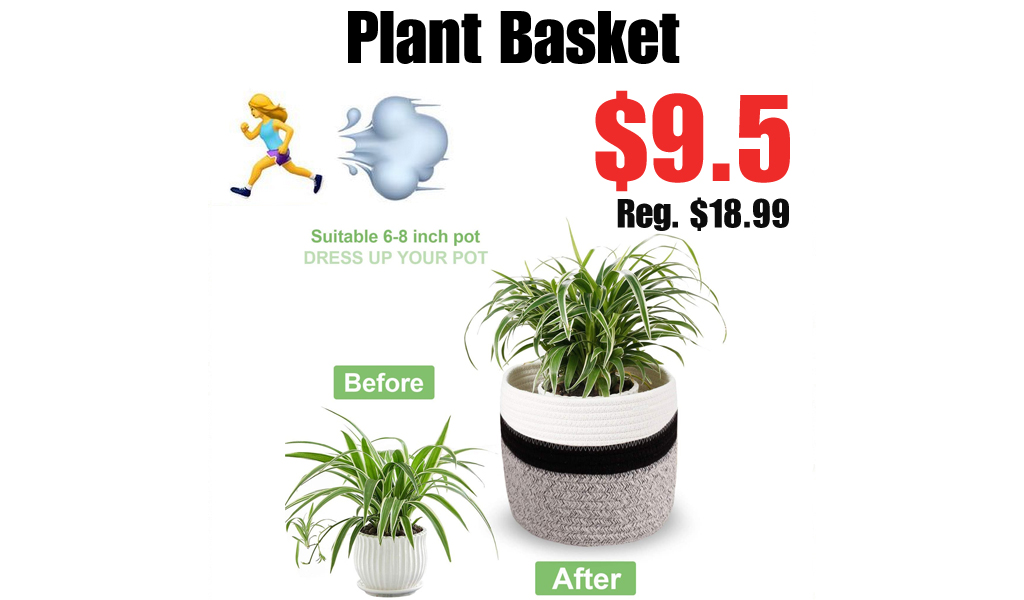 Plant Basket Only $9.5 Shipped on Amazon (Regularly $18.99)