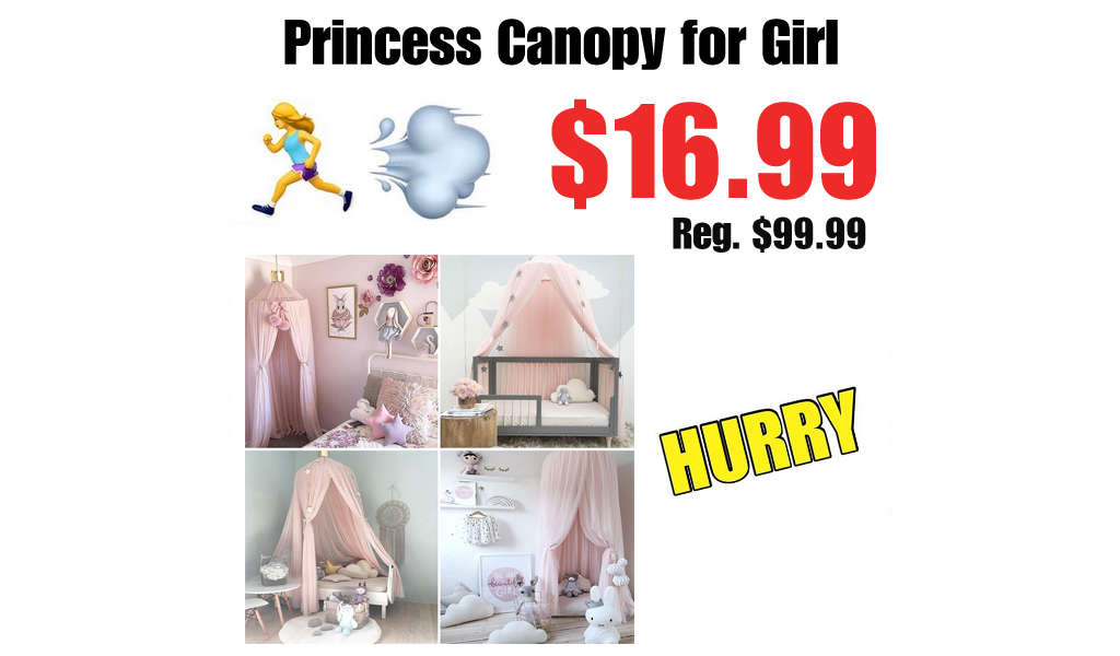 Princess Canopy for Girl Just $16.99 on Walmart.com (Regularly $99.99)