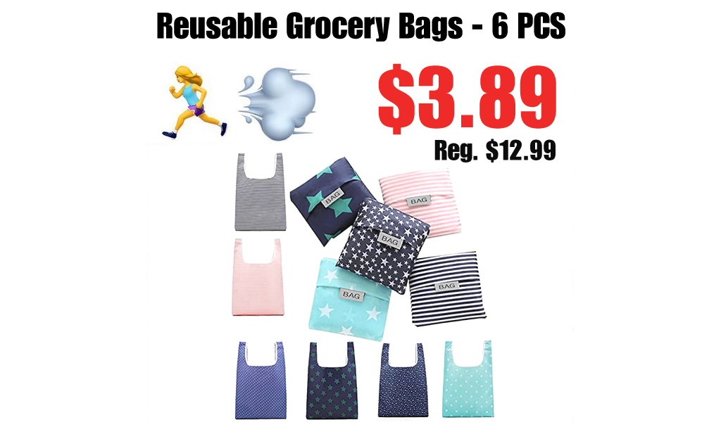 Reusable Grocery Bags - 6 PCS Only $3.89 Shipped on Amazon (Regularly $12.99)
