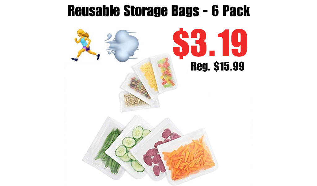 Reusable Storage Bags - 6 Pack Only $3.19 Shipped on Amazon (Regularly $15.99)