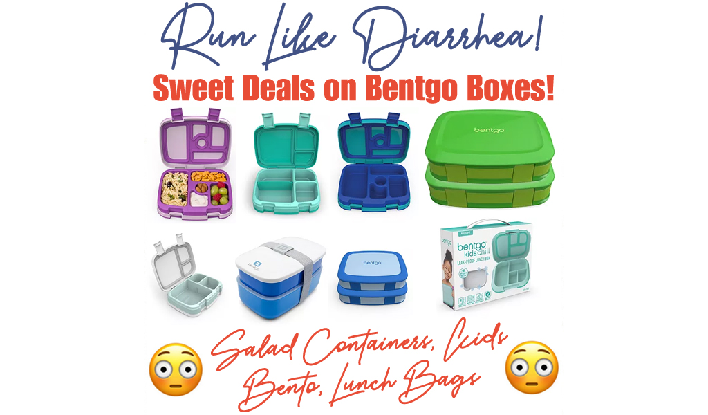 Bentgo Lunch Boxes Sale at Kohl's