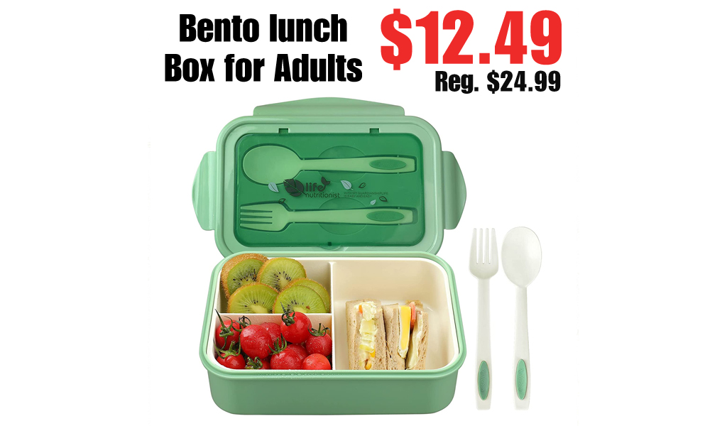 Bento lunch Box for Adults Only $12.49 Shipped on Amazon (Regularly $24.99)