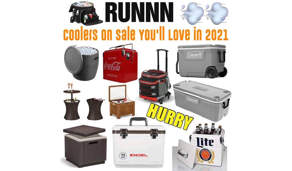 Coolers for Less on Wayfair - Big Sale