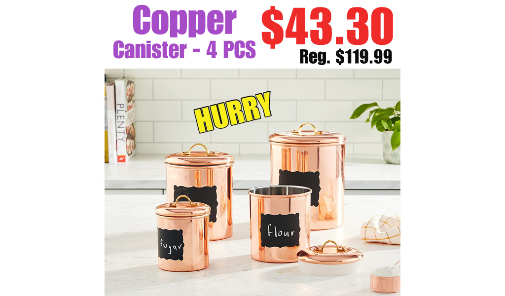 Copper Canister - 4 PCS Only $43.30 Shipped on Amazon (Regularly $119.99)