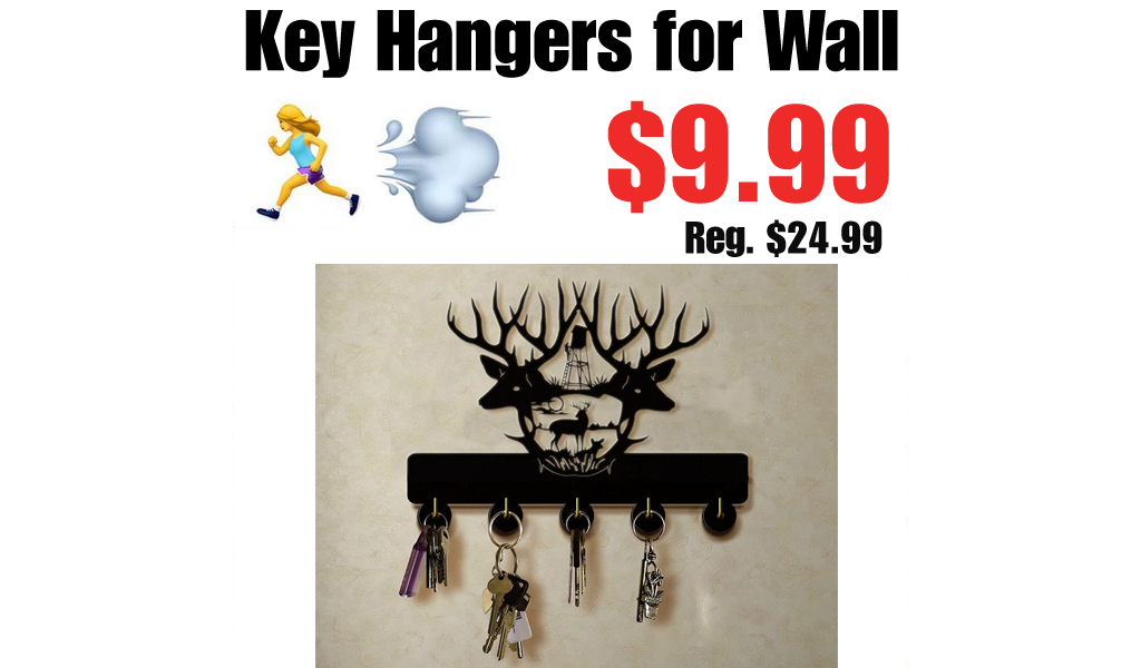 Key Hangers for Wall Only $9.99 Shipped on Amazon (Regularly $24.99)