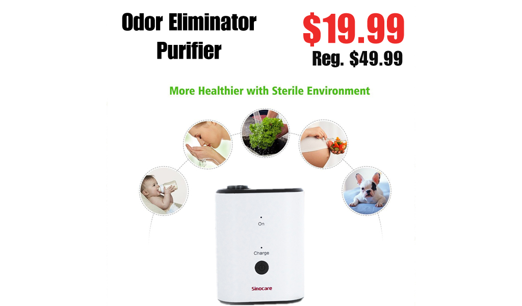 Odor Eliminator Purifier Only $19.99 on Ebay.com (Regularly $49.99)
