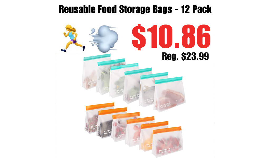Reusable Food Storage Bags - 12 Pack Only $10.86 Shipped on Amazon (Regularly $23.99)