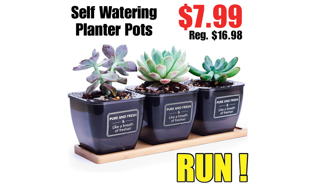 Self Watering Planter Pots Only $7.99 Shipped on Amazon (Regularly $16.98)