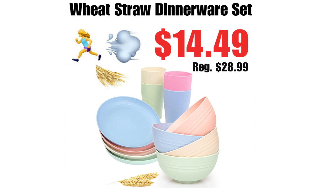 Wheat Straw Dinnerware Set Only $14.49 Shipped on Amazon (Regularly $28.99)
