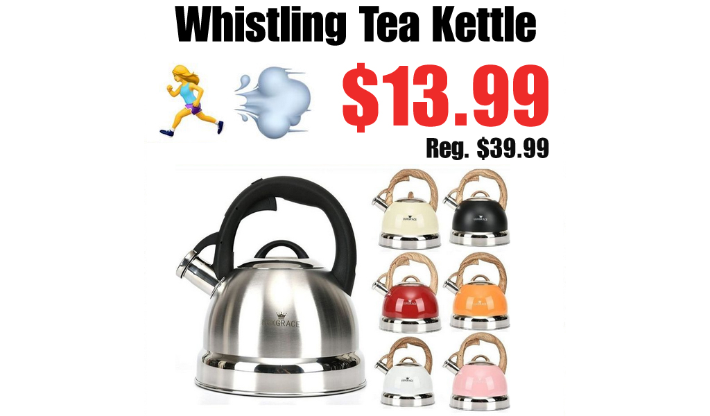 Whistling Tea Kettle Only $13.99 Shipped on Amazon (Regularly $39.99)
