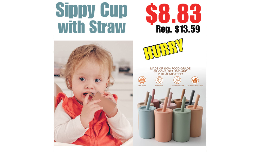 Sippy Cup with Straw $8.83 Shipped on Amazon (Regularly $13.59)