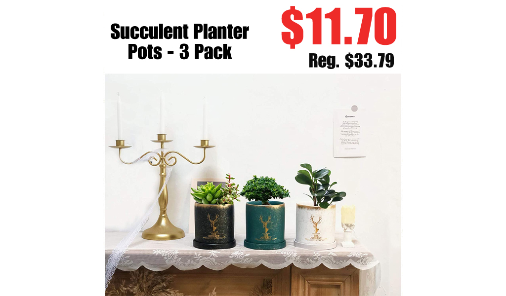 Succulent Planter Pots - 3 Pack Only $11.70 Shipped on Amazon (Regularly $28.99)