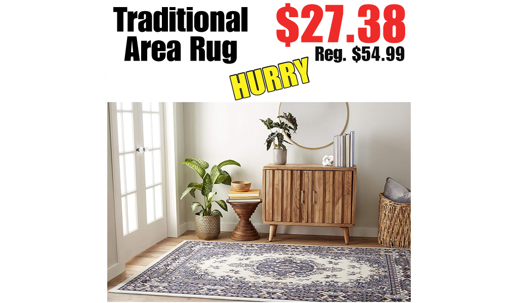 Traditional Area Rug Only $27.38 on Amazon (Regularly $54.99)