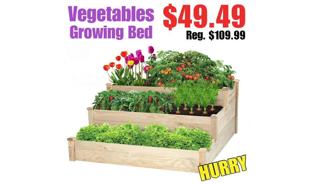 Vegetables Growing Bed Only $49.49 Shipped on Amazon (Regularly $109.99)
