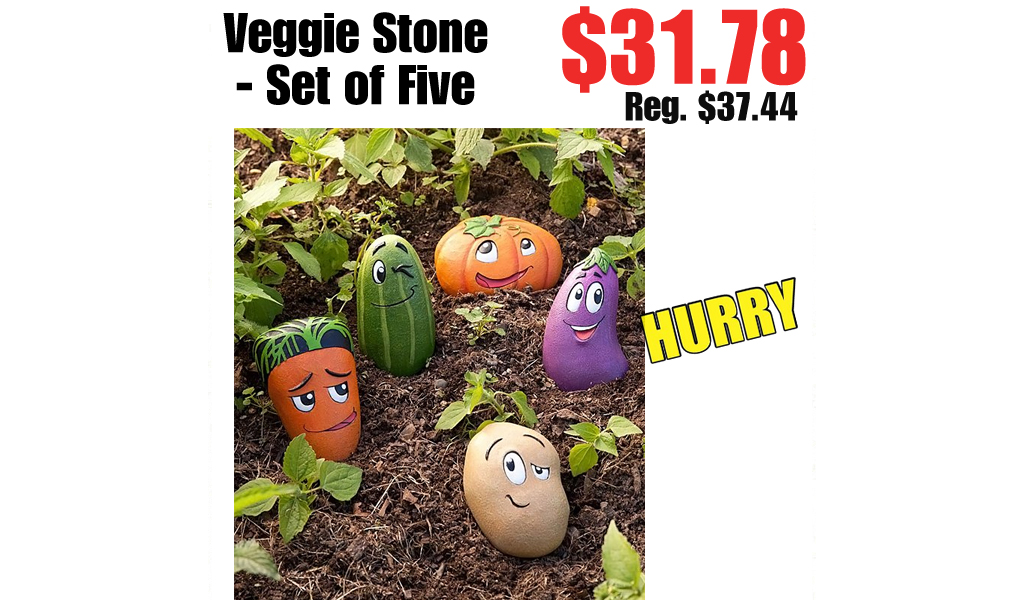 Veggie Stone - Set of Five Only $31.78 Shipped on Zulily (Regularly $37.44)