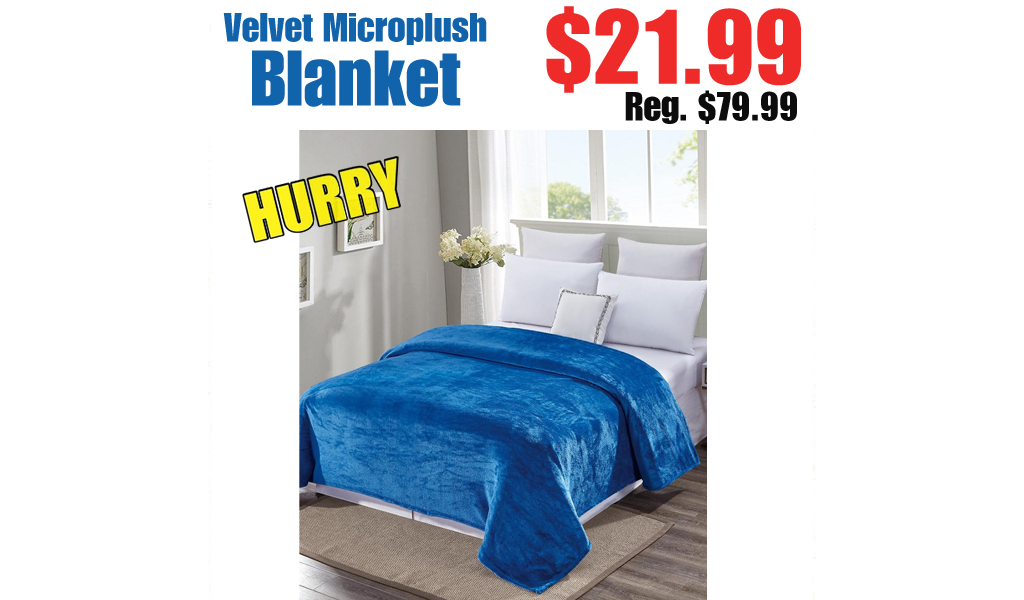 Velvet Microplush Blanket Only $21.99 Shipped on Zulily (Regularly $79.99)