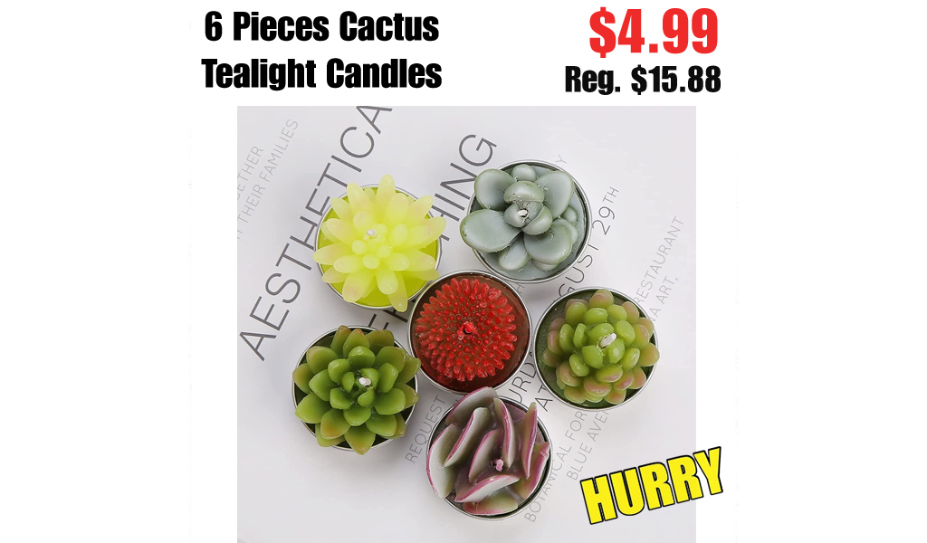 6 Pieces Cactus Tealight Candles Only $4.99 Shipped on Amazon (Regularly $15.88)