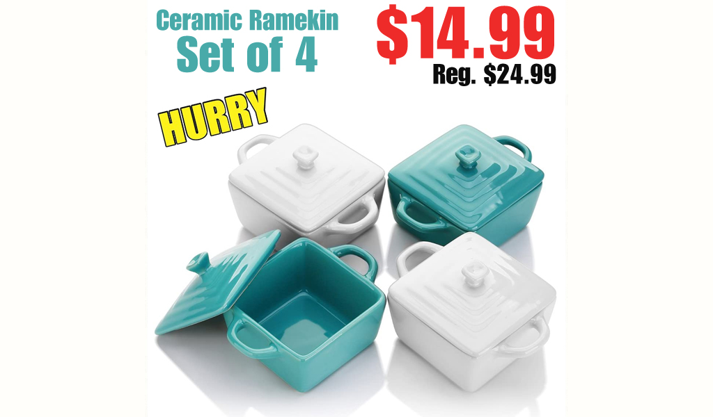 Ceramic Ramekin Set of 4 $14.99 Shipped on Amazon (Regularly $24.99)