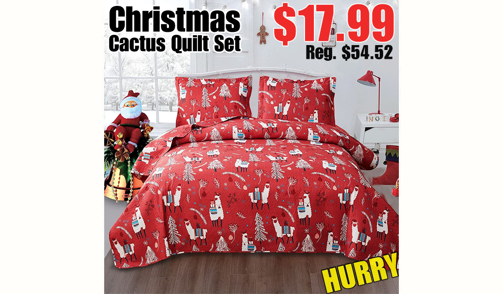 Christmas Cactus Quilt Set $17.99 Shipped on Amazon (Regularly $54.52)