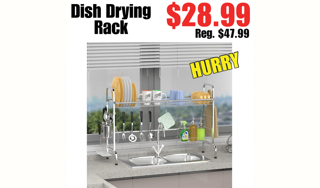Dish Drying Rack $28.99 Shipped on Amazon (Regularly $47.99)