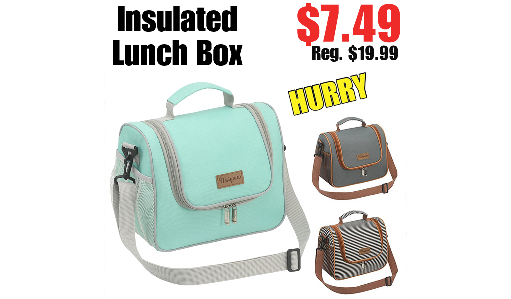 Insulated Lunch Box Only $7.49 Shipped on Amazon (Regularly $19.99)