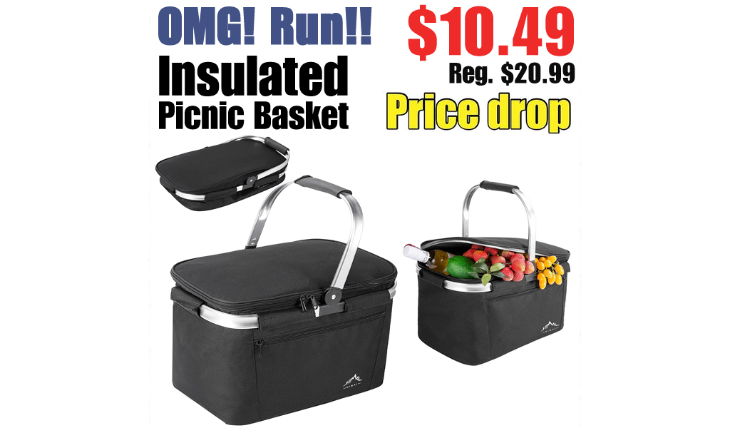 Insulated Picnic Basket Only $10.49 Shipped on Amazon (Regularly $20.99)