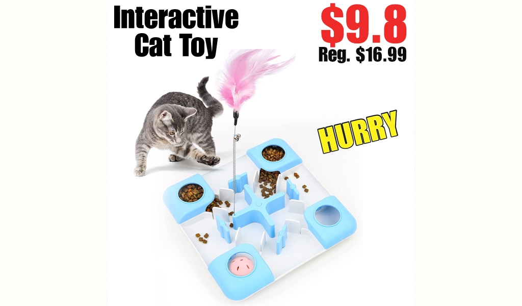 Interactive Cat Toy $9.8 Shipped on Amazon (Regularly $16.99)