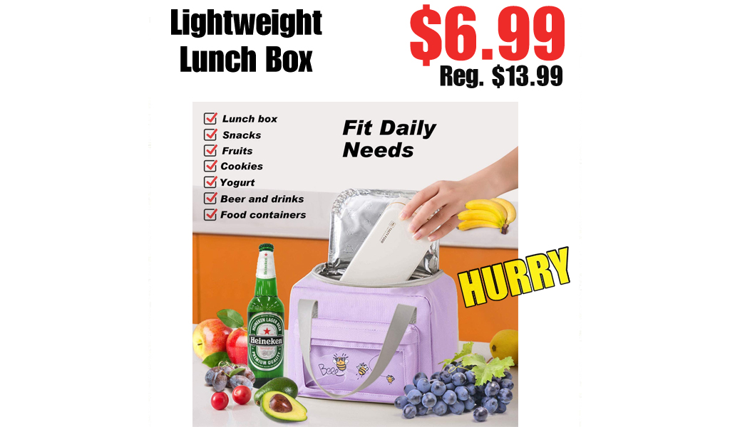Lightweight Lunch Box $6.99 Shipped on Amazon (Regularly $13.99)