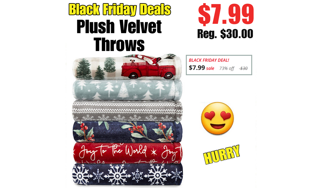 Plush Velvet Throws Only $7.99 on JCPenney.com (Regularly $30)