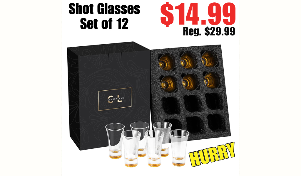 Shot Glasses Set of 12 $14.99 Shipped on Amazon (Regularly $29.99)