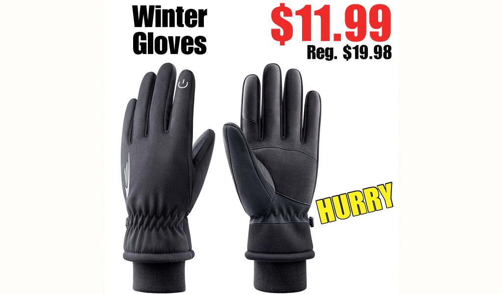 Winter Gloves $11.99 Shipped on Amazon (Regularly $19.98)