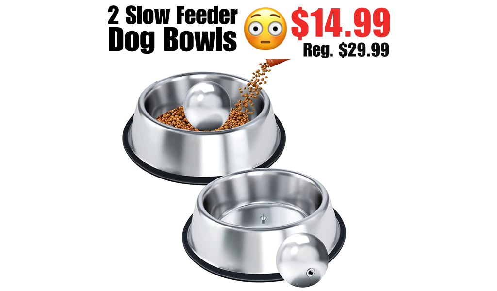 2 Slow Feeder Dog Bowls Only $14.99 Shipped on Amazon (Regularly $29.99)