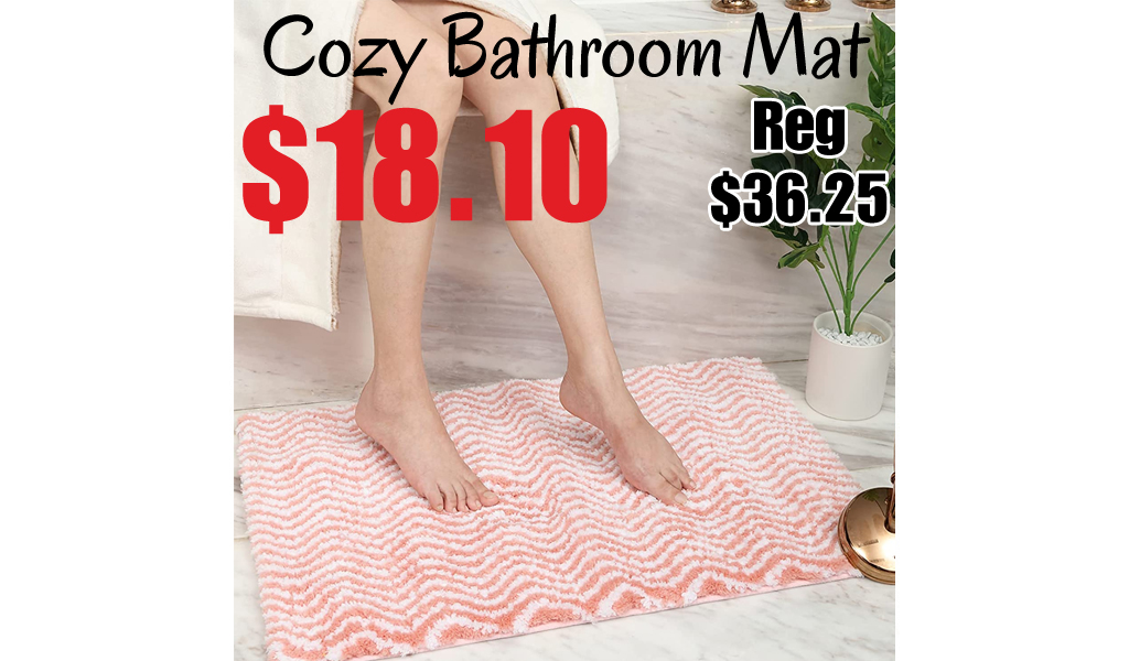Cozy Microfiber Bathroom Mat Only $18.10 Shipped on Amazon (Regularly $36.25)