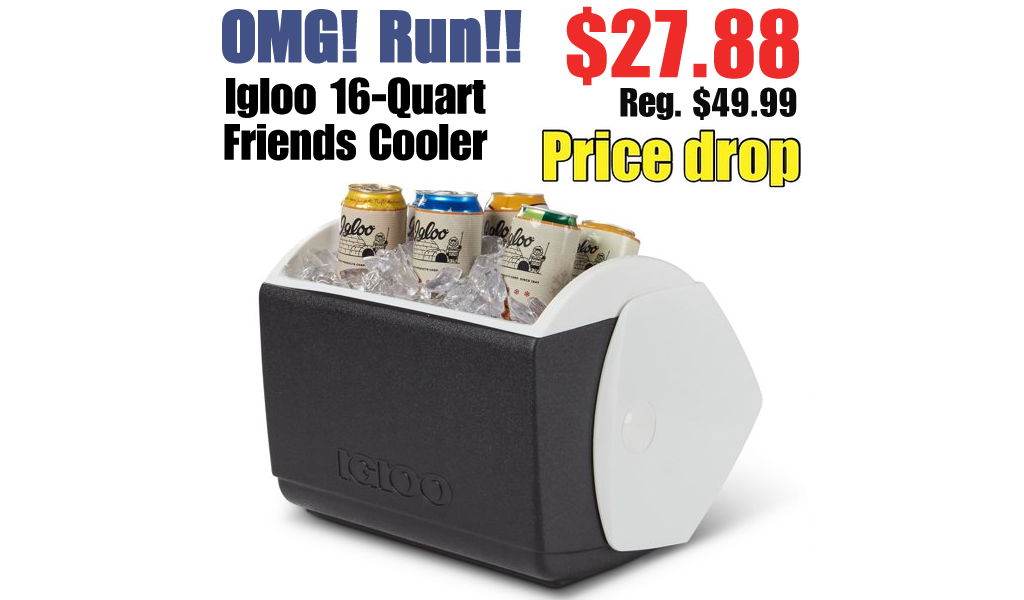 Igloo 16-Quart Friends Cooler Just $27.88 on Walmart.com (Regularly $49.99)
