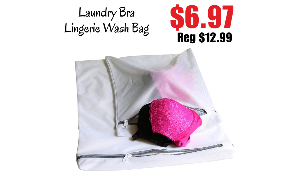 Laundry Bra Lingerie Wash Bag Only $6.97 Shipped on Amazon (Regularly $12.99)