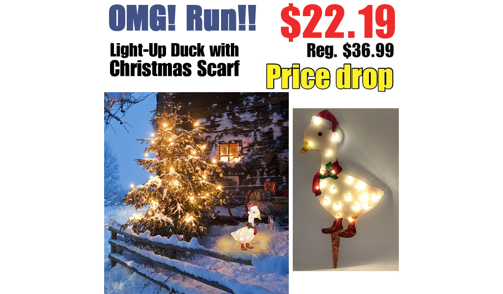 Light-Up Duck with Christmas Scarf Only $22.19 Shipped on Amazon (Regularly $36.99)