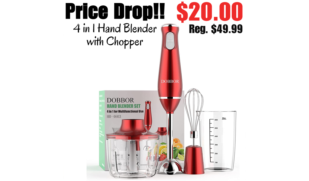 4 in 1 Hand Blender with Chopper $20.00 Shipped on Amazon (Regularly $49.99)