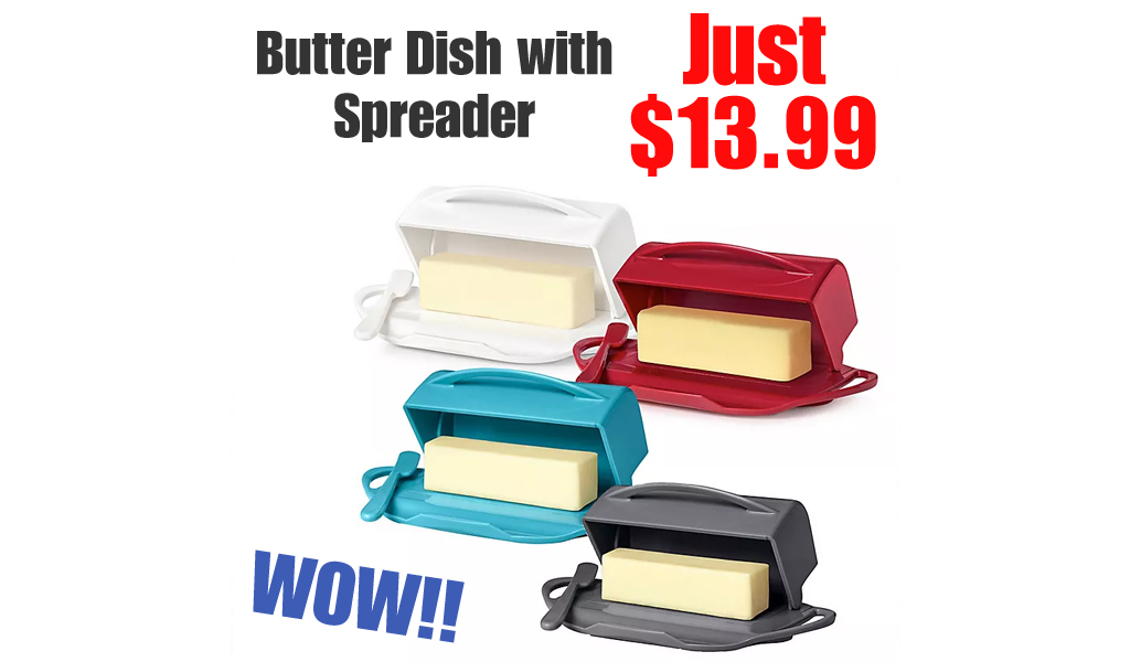 Butter Dish with Spreader Just $13.99 on Bed Bath & Beyond