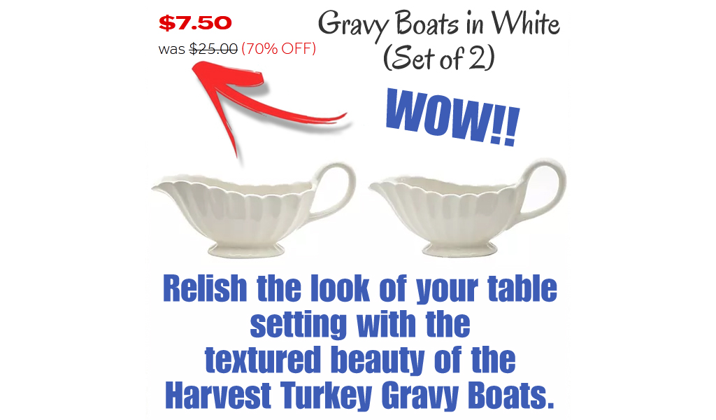 Gravy Boats in White (Set of 2) Just $7.50 on Bed Bath & Beyond (Regularly $25.00)