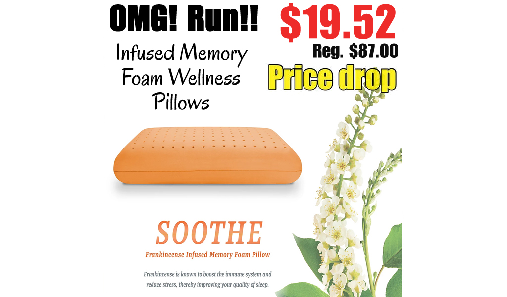 Infused Memory Foam Wellness Pillows Only $19.52 on Macy’s.com (Regularly $87)