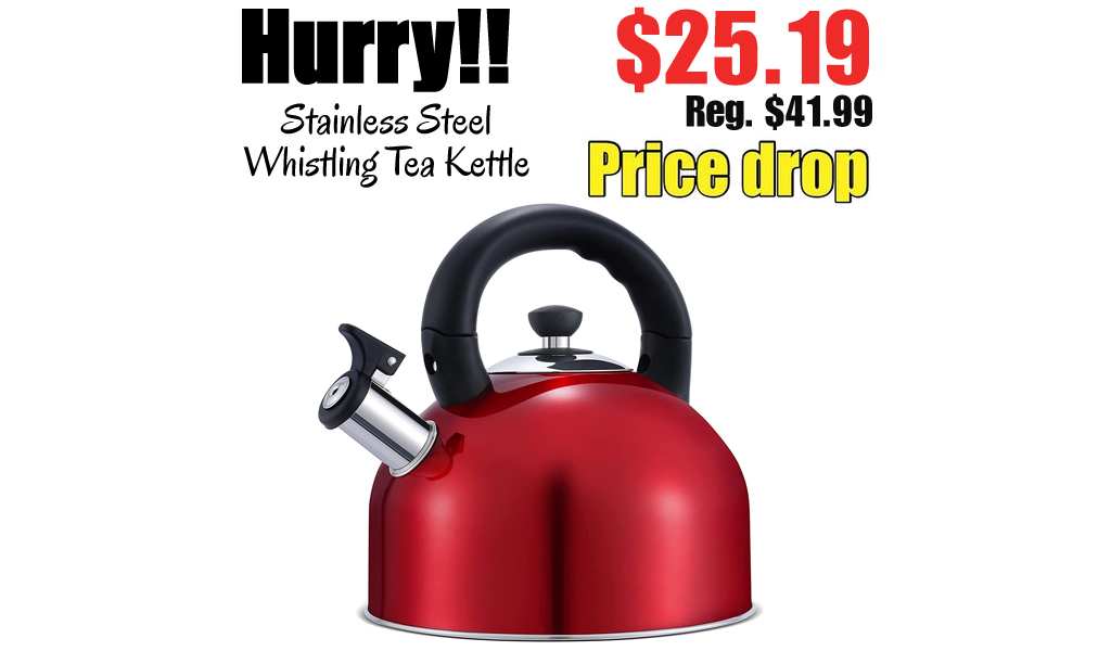 Stainless Steel Whistling Tea Kettle Only $25.19 Shipped on Amazon (Regularly $41.99)