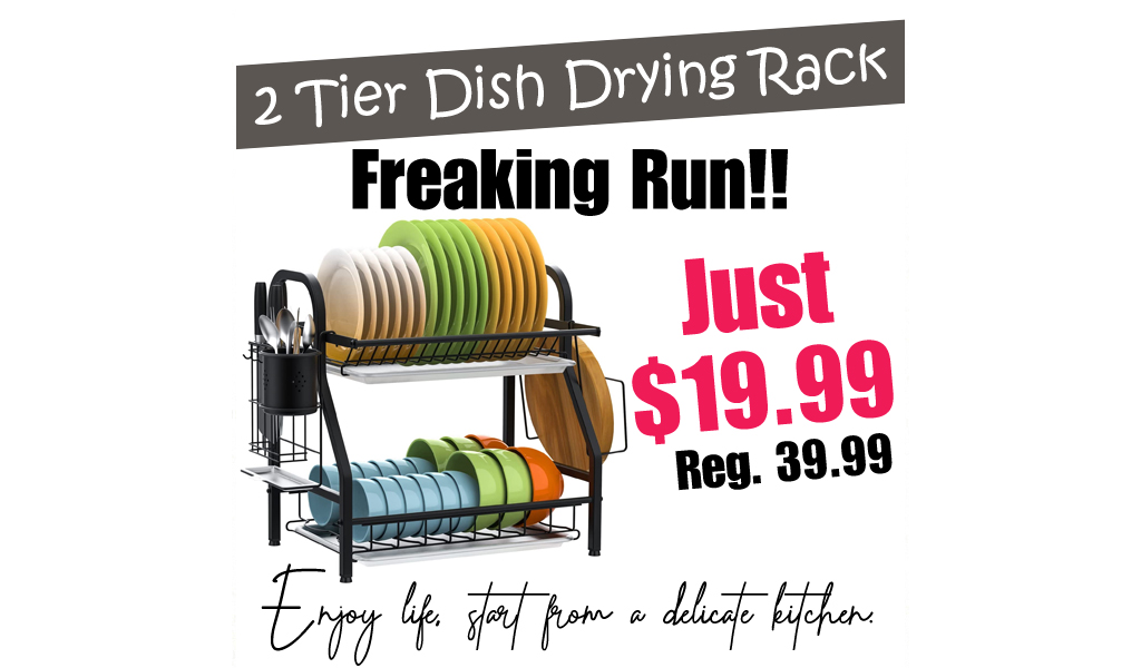 2 Tier Dish Drying Rack Only $19.99 Shipped on Amazon (Regularly $39.99)