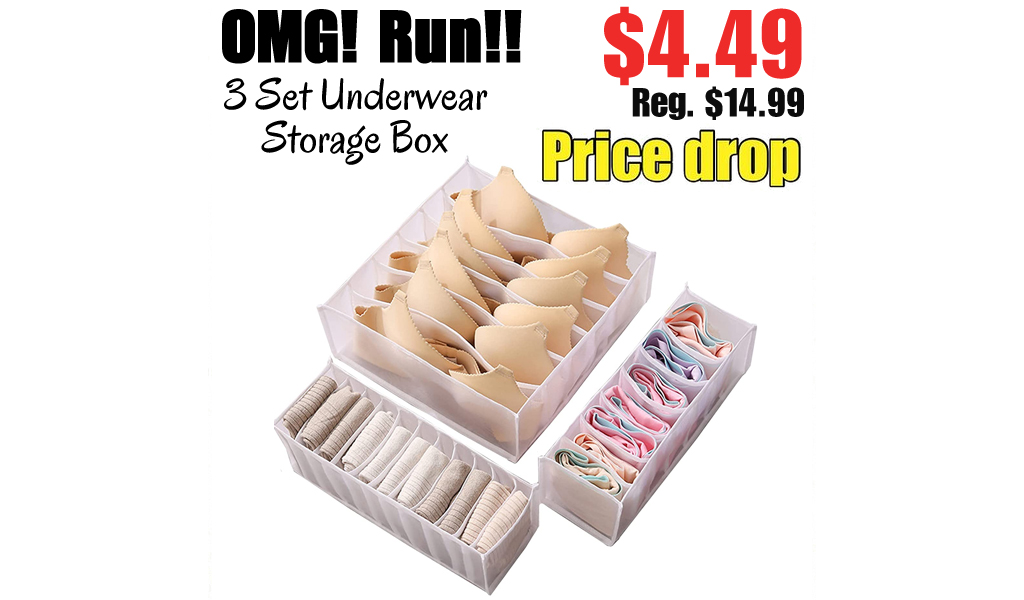 3 Set Underwear Storage Box Only $4.49 Shipped on Amazon (Regularly $14.99)
