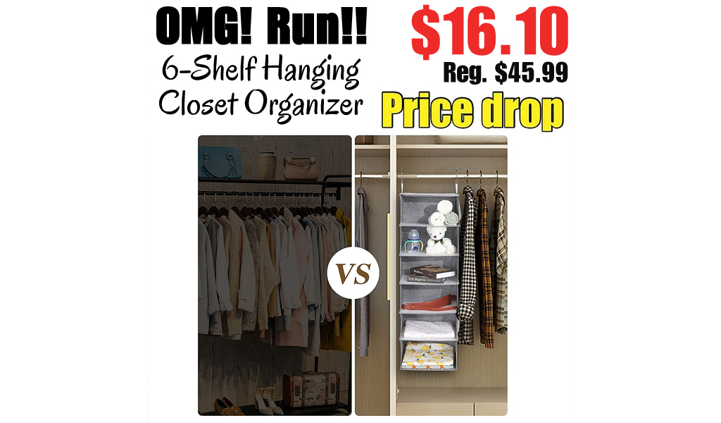 6-Shelf Hanging Closet Organizer Only $16.10 Shipped on Amazon (Regularly $45.99)
