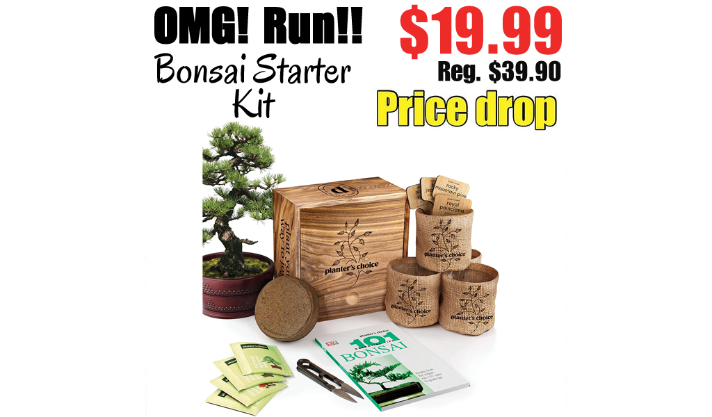 Bonsai Starter Kit Only $19.99 Shipped on Amazon (Regularly $39.90)