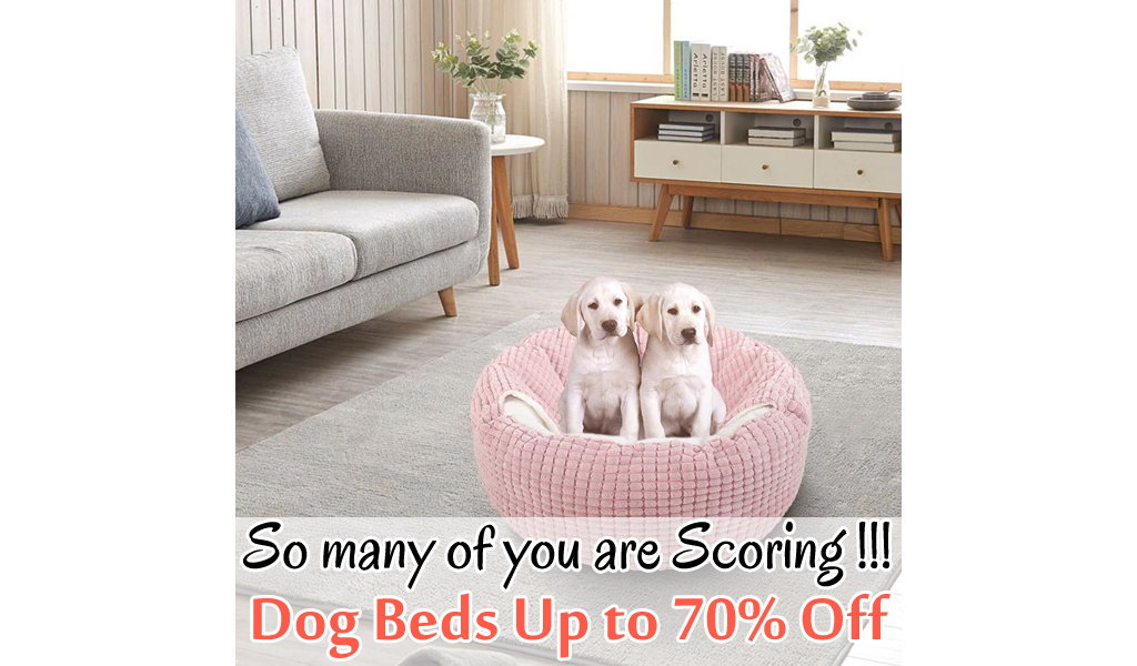 Hooded Dog Beds Up To 70% Off on Wayfair - Big Sale