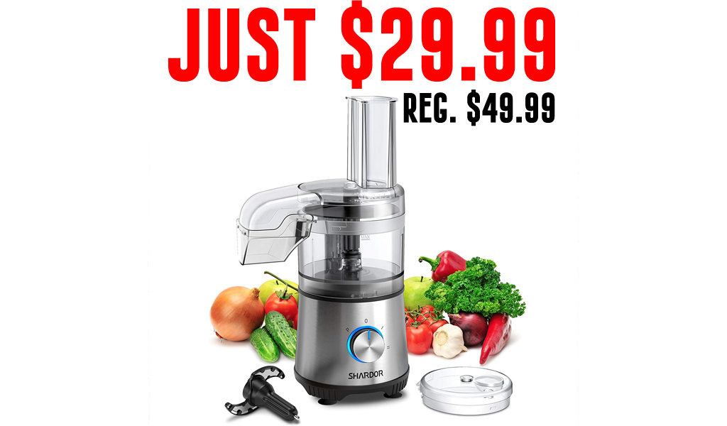 Vegetable Food Processor Only $29.99 Shipped on Amazon (Regularly $49.99)