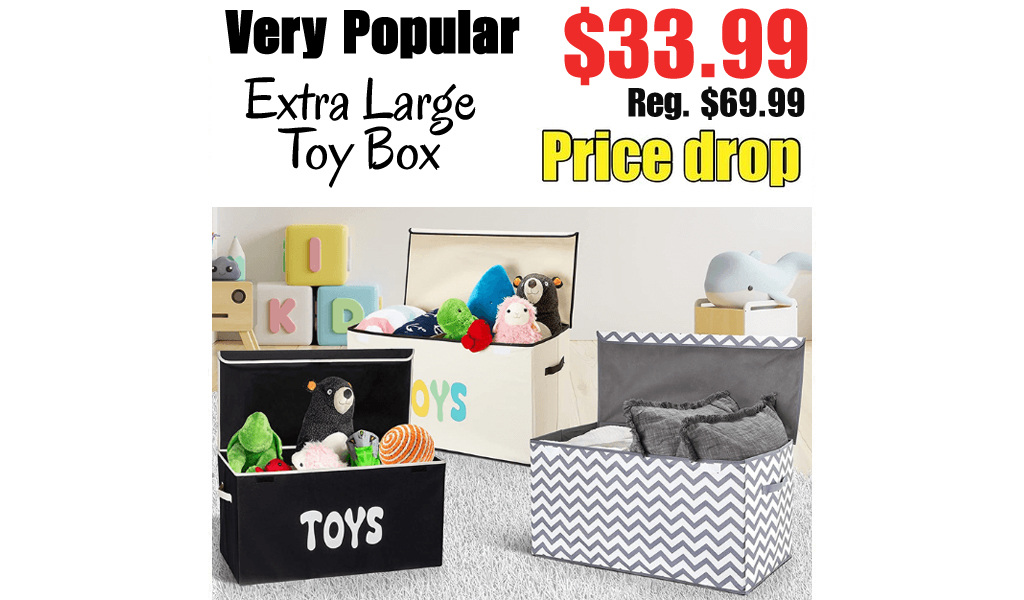 Extra Large Toy Box Only $33.99 Shipped on Amazon (Regularly $69.99)